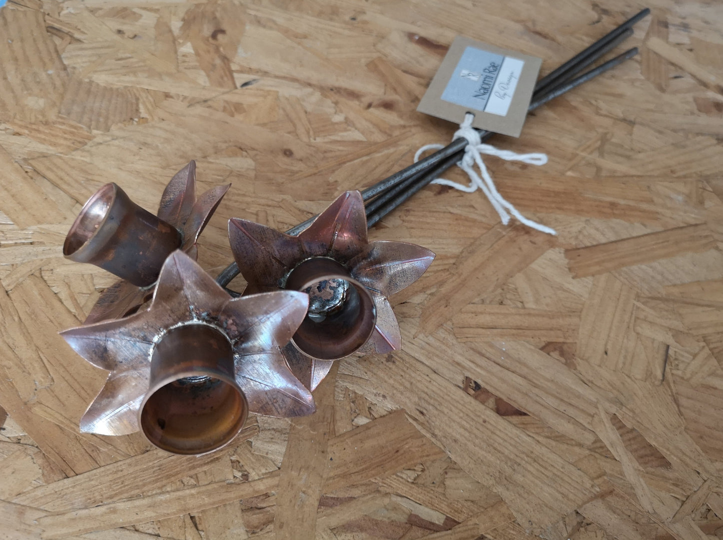 Copper Daffodil's